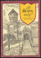 Erki Edit (szerk.): ...áll Buda még. A magyar irodalom várbéli századai. 1997. Kiadói papírkötés.