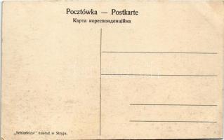 Stryi, Stryj; Budynek "Sokol" / Sokol building