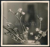 1931 Kinszki Imre (1901-1945) budapesti fotóművész által datált és sorszámozott (862) vintage fotó, 6,5x7 cm