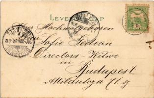 1900 Easter greeting, chicken, litho. 1900 Húsvéti üdvözlet! csibék, litho.