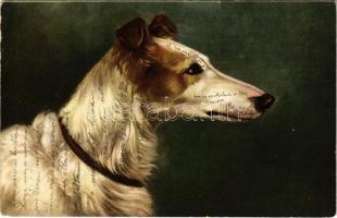 1904 Dog (kis szakadás / small tear)