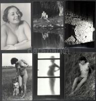 cca 1975 A fiatalság szépsége, Marinkay István (1920-?) veszprémi fotóművész hagyatékából 13 db vintage erotikus fotó, 9x14 cm