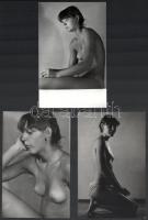 cca 1978 Aktfotósorozat, Menesdorfer Lajos (1941-2005) budapesti fotóművész hagyatékából, 9 db jelzé...
