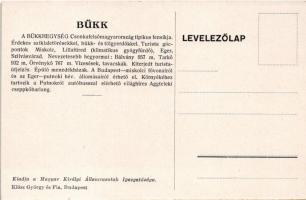 Lillafüred (Miskolc), Szépségével elbűvöl a vadregényes Bükk. A Magyar Királyi Államvasutak turiszti...