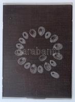 cca 1935 Kinszki Imre (1901-1945) budapesti fotóművész hagyatékából 14 db vintage üveglemez NEGATÍV,...