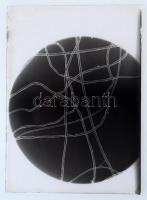 cca 1935 Kinszki Imre (1901-1945) budapesti fotóművész hagyatékából 14 db vintage üveglemez NEGATÍV,...