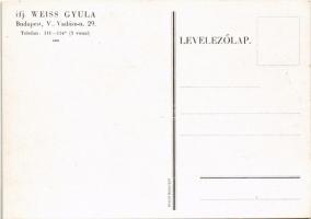 Ifj. Weiss Gyula zsidó építőipari üvegáru-nagykereskedő reklámja. Budapesti Vadász utca 29. szám ala...