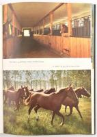 Sz. Bozsik Nóra - Várady Jenő: Lovasélet Magyarországon. Bp., 1976, IPV. Gazdag képanyaggal illusztr...