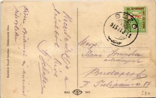 1915 Ungvár, Uzshorod, Uzhhorod, Uzhorod; vármegyeház. Seinfeld Dezső kiadása / county hall