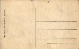 Szobránc, Sobrance; Gróf Török család kastélya. halász Sándor fényképész / castle  (EK)