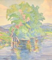 Dezső Miklós (1890-1955): Erdélyi vízparti táj. Akvarell, papír. Üvegezett fa keretben. Hátoldalán V...