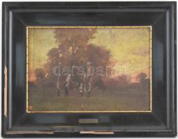 Szatmár (?) jelzéssel: Napnyugta. Olaj, karton. Sérült, régi fa keretben, hátoldalán régi Hoffmann F...