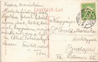 1909 Herkulesfürdő, Herkulesbad, Baile Herculane; Gyógyterem és díszkert. Krizsány R. kiadása / Kurs...