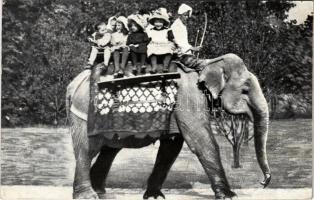 1916 Budapest XIV. Városliget, Körutazás a Kuba hátán, elefánt gyerekekkel. A székesfővárosi állatkert kiadása 13. szám (EK)