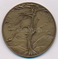 Kiss Nagy András (1930-1997) DN "Csontváry Tivadar" Br emlékérem (60mm) T:1-