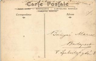 Paris, Auteuil, Champ de Courses, Vue sur la Pelouse / Hippodrome, horse race. TCV card