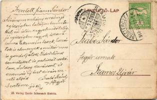 1910 Beszterce, Bistritz, Bistrita; Magyar utca, F. Stolzenberg és Majer Mandel üzlete. Guido Schars...