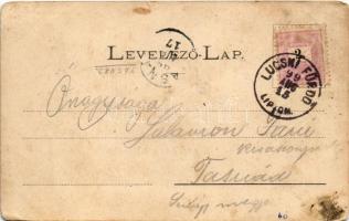 1899 (Vorläufer) Lucski-fürdő, Lúcky Kúpele (Liptó); vízesés, nyaralók. Wlaszlovits Gusztáv 1036. / ...