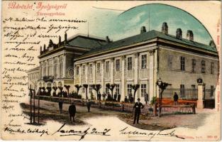 1903 Ipolyság, Sahy; Vármegyeház. Kanyó A. utóda 11. sz. / county hall (EK)