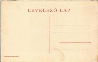 Eger, Angolkisasszonyok intézetének nyaralójában a bennlakó növendékek játszótere. Divald Károly fia