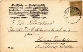 1904 Boldog új évet! Majmok pezsgővel / New Year greeting with monkeys and champagne