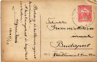 Boldog új évet! Malac pénzzel / New Year greeting with pig and money. Emb. litho (EK)