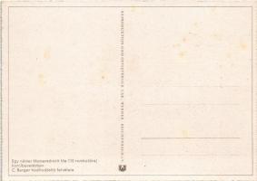 Második világháborús német katonai lap. Egy német Me 110 rombolóraj harci bevetésen. C. Berger hadit...