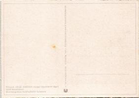 Második világháborús német katonai lap. Könnyű, német, önállóan mozgó légvédelmi ágyú. Brunnengräber...