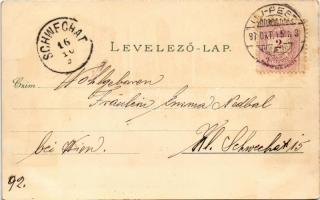 1897 (Vorläufer) Budapest, Fővárosi Vigadó, Eötvös, Deák és Petőfi szobor, Tudományos akadémia. Ottm...