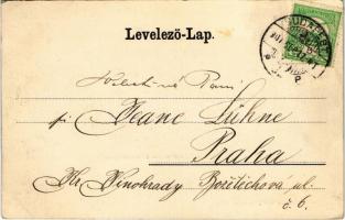 1907 Budapest VIII. Tisza Kálmán tér (II. János Pál pápa tér). Ganz Antal No. 117