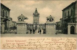 1898 (Vorläufer) Budapest IX. Vágóhíd (EK)