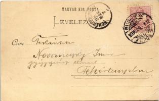 1898 (Vorläufer) Budapest VII. Erzsébet körút télen este, villamos. D. Halberstadt 114. (EK)