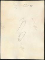 cca 1930-1940 Szabadság-híd, fotó, 8x6 cm