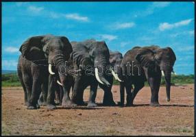 Kenya 1989