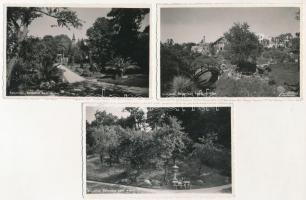Kolozsvár, Cluj; Botanikus kert / Gradina Botanica / Botanical Garden - 8 db régi képeslap / 8 pre-1945 postcards