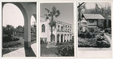 Kolozsvár, Cluj; Botanikus kert / Gradina Botanica / Botanical Garden - 8 db régi képeslap / 8 pre-1...