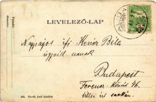 1907 Balatonaliga (Balatonvilágos), Terézia lak, villa. Novák Jenő kiadása (EM)