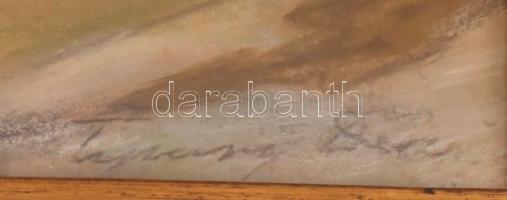 Tipary Dezső (1887-1967): Evezősök és uszályok a Dunán. Pasztell, karton, jelzett. Üvegezett fa kere...