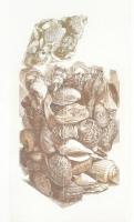Rékassy Eszter (1966-): Egy doboz kagyló. Rézkarc, merített papír, jelzett, számozott (19/20). Üvegezett fa keretben, 29×15 cm