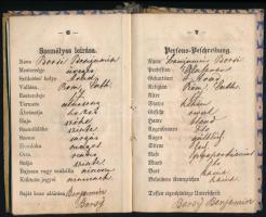 1861-1863 Arad, üveges vándorkönyve, német és magyar nyelven, bejegyzésekkel, pecsétekkel, töredezet...