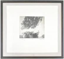 Sulyok Gabriella (1939-): ...elszáll....  Rézkarc, merített papír, jelzett, Művészpéldány E.A. I/III...