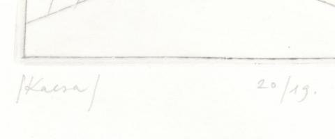 Véssey Gábor (1948-): Kacsa. Hidegtű, merített papír, jelzett, számozott (20/19), üvegezett fa keret...