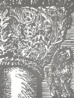 Ágotha Margit (1938-2015 ): Jónás imája - Babits illusztráció. Linómetszet, merített papír, jelzett és datált (Ágotha Margit 1984), művészpéldány EA I/VII. Üvegezett fa keretben, 32×26 cm