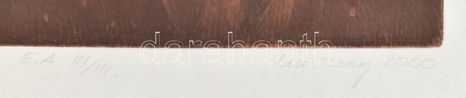 Muzsnay Ákos (1945-): Fal I. Rézkarc, merített papír. Jelzett és datált (Muzsnay 2000), művészpéldán...