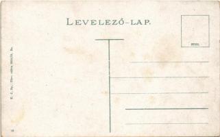 Párkány, Parkan, Stúrovo; Rákóczi út, húscsarnok, Ifj. Schiller Lipót üzlete / street, shop, butcher