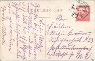 1918 Pöstyén fürdő, Kúpele Piestany; Hársfa és Metropol szálló, Deák Ferenc utca, üzlet / hotel, str...