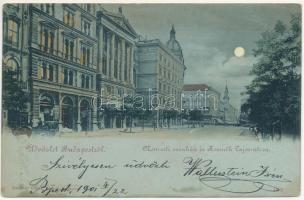 1901 Budapest V. Nemzeti Színház, Kossuth Lajos utca, Dober Ede üzlete (ázott / wet damage)