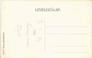 Gyulafehérvár, Karlsburg, Alba Iulia; Custozza emlékmű. Petri F. Vilmos. kiadása / monument