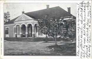 1915 Kisbacon, Batanii Mici; Benedek ház / villa, castle
