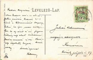 1916 Solymosvár, Solymos, Soimos; vár, kilátás Lippára és Radnára / castle, view of Lipova and Radna